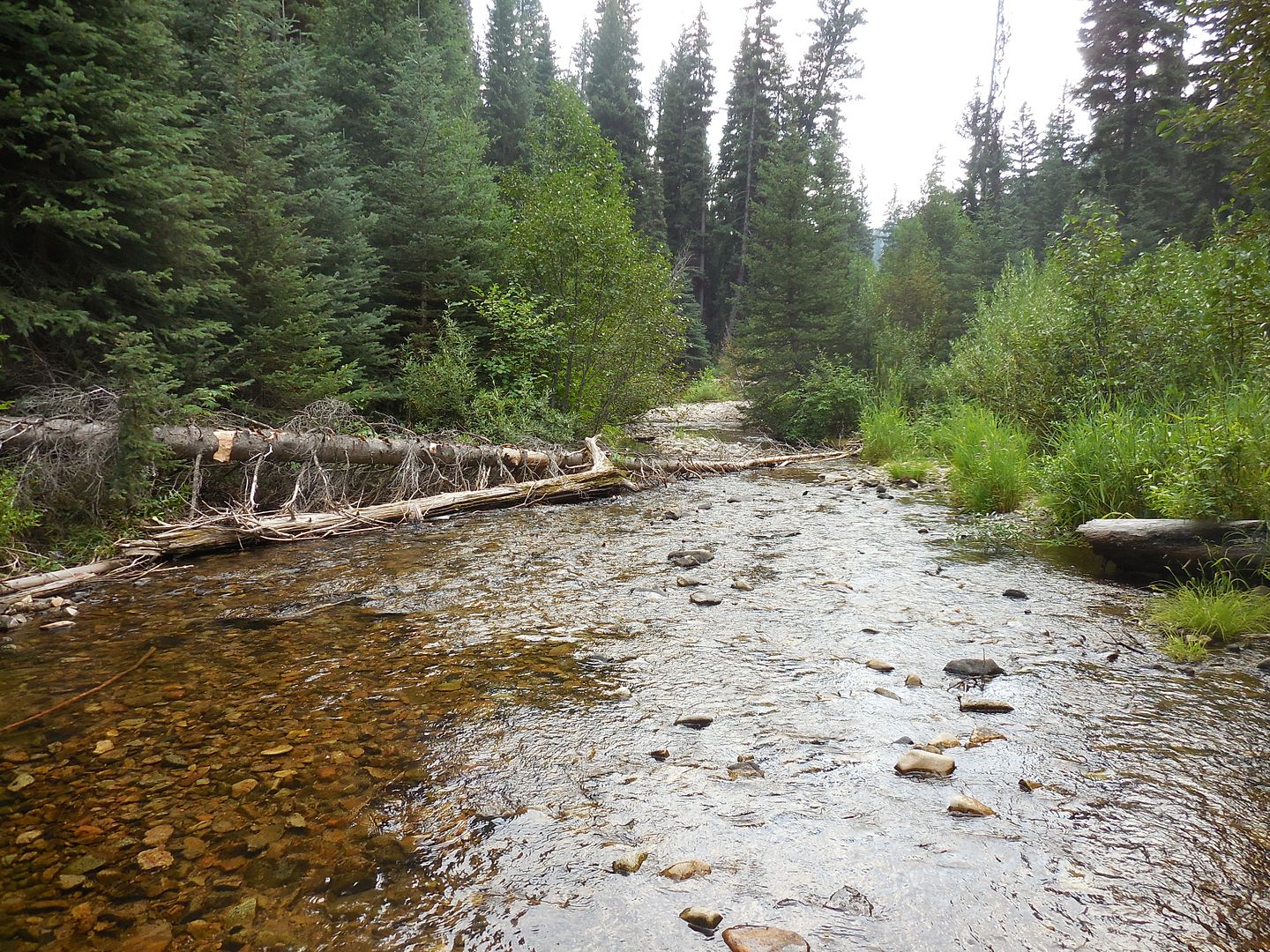 IDAHO / MONTANA PLACER GOLD MINING CLAIM Salmon River LEMHI COUNTY
